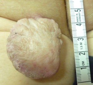 P1350834